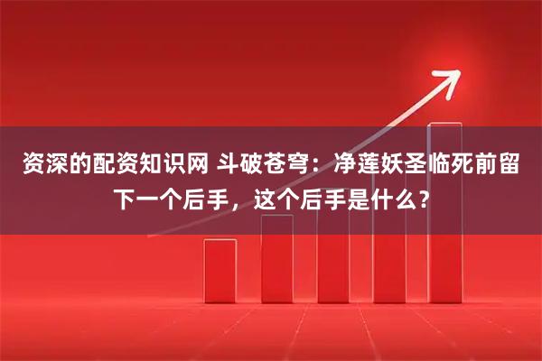 资深的配资知识网 斗破苍穹：净莲妖圣临死前留下一个后手，这个后手是什么？