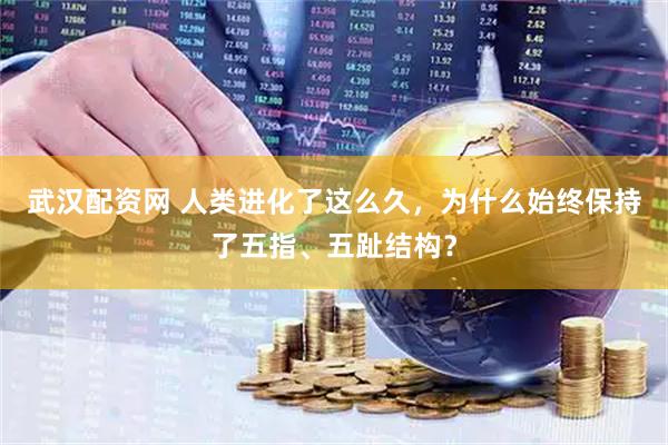 武汉配资网 人类进化了这么久，为什么始终保持了五指、五趾结构？